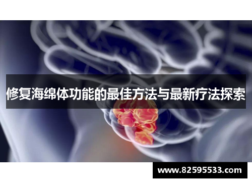 修复海绵体功能的最佳方法与最新疗法探索