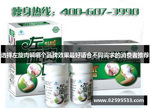 选择左旋肉碱哪个品牌效果最好适合不同需求的消费者推荐
