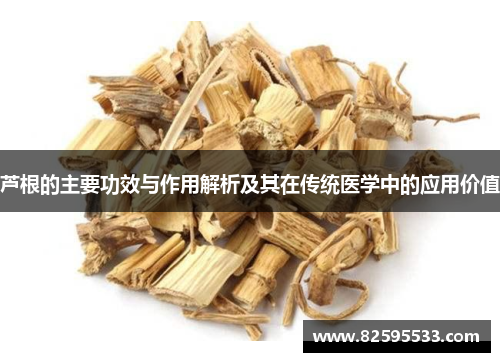 芦根的主要功效与作用解析及其在传统医学中的应用价值
